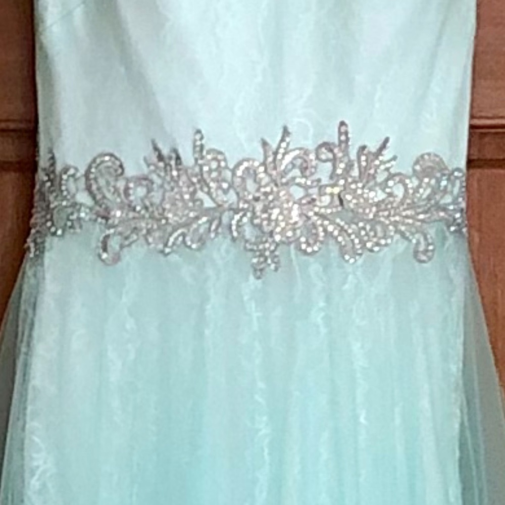 Prom Dress - Picture 5 of 5